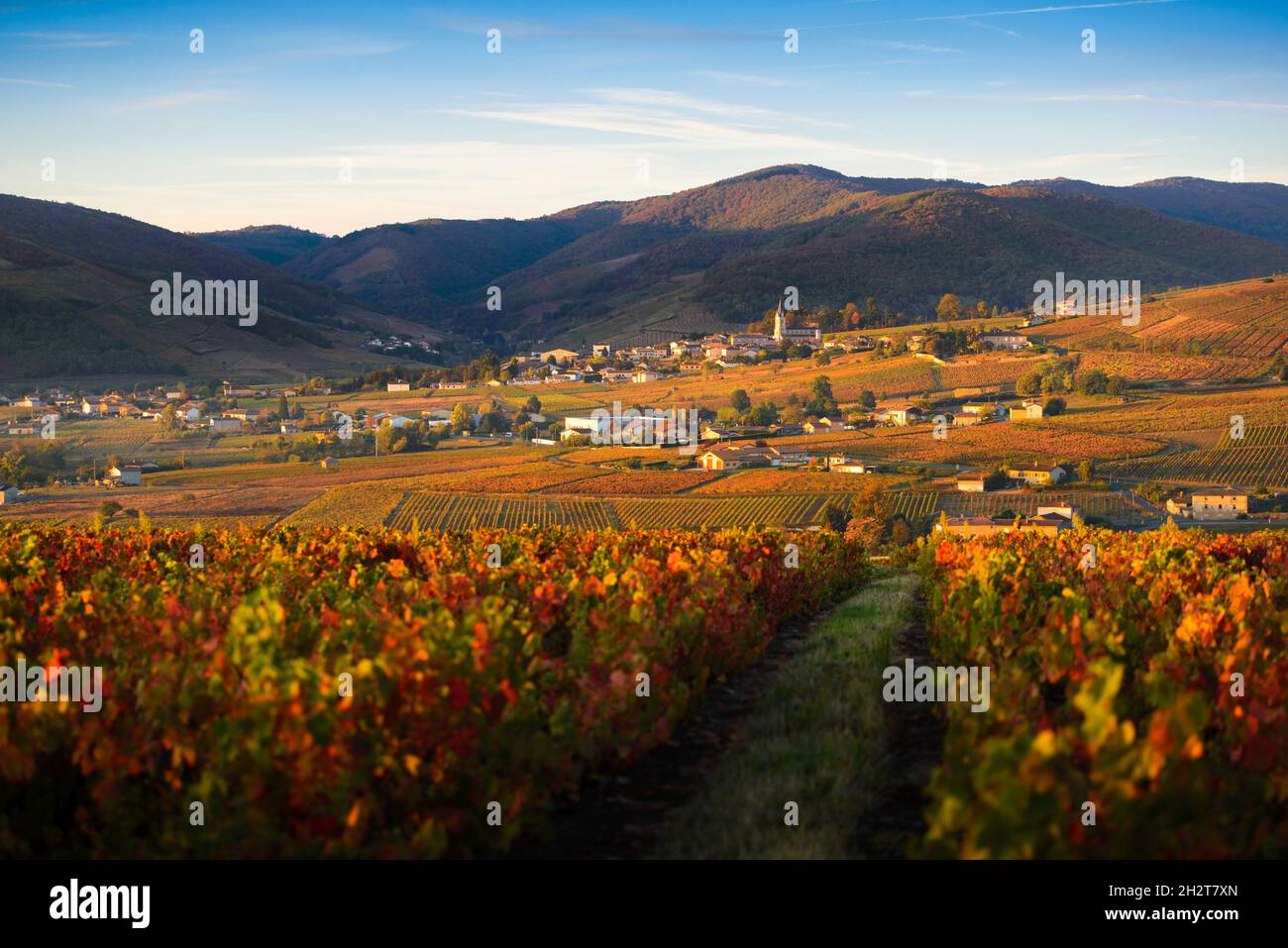 fall-colors-and-village-of-quinci-en-beaujolais-beaujolais-france