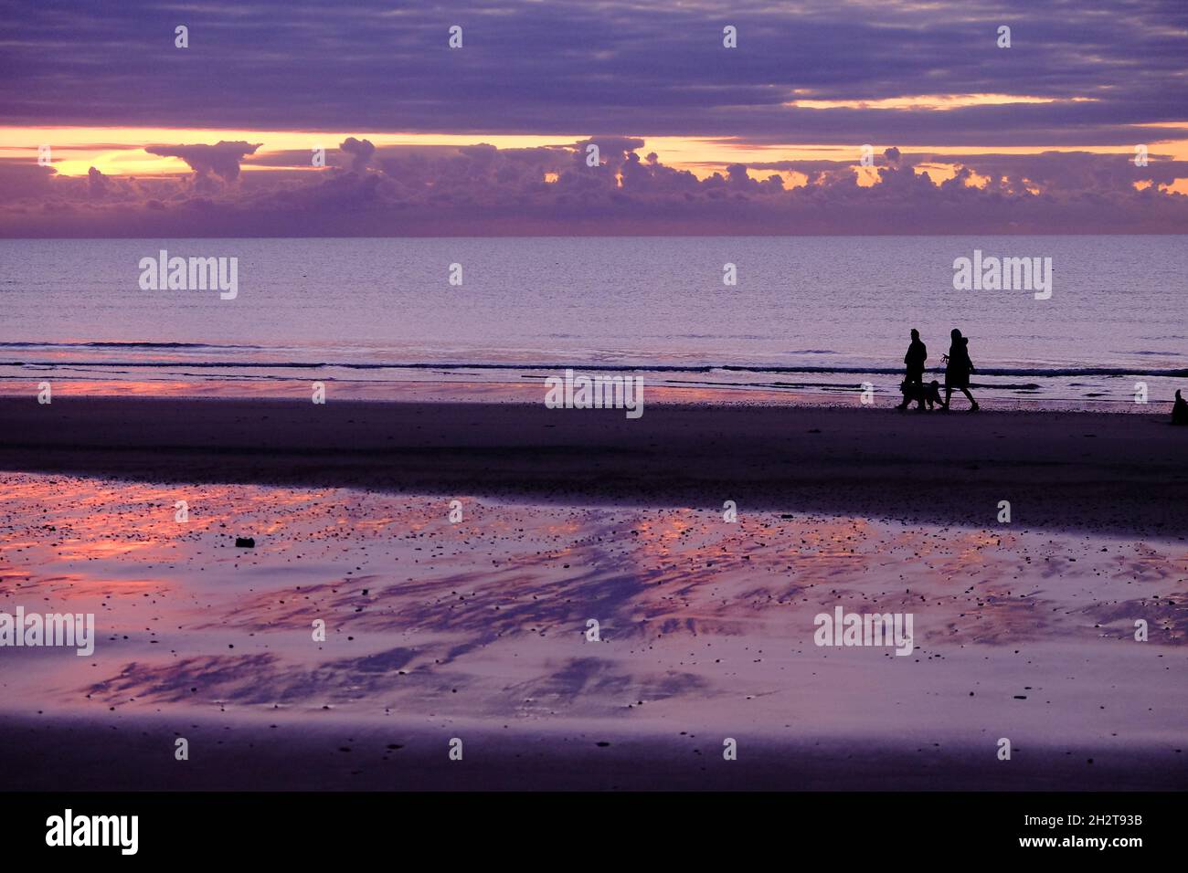 Dog walkers on beach Stock Photo Alamy
