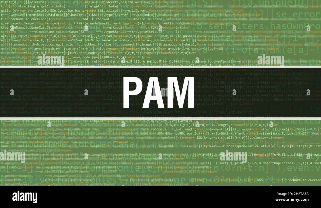 PAM with Digital java code text. PAM and Computer software coding ...