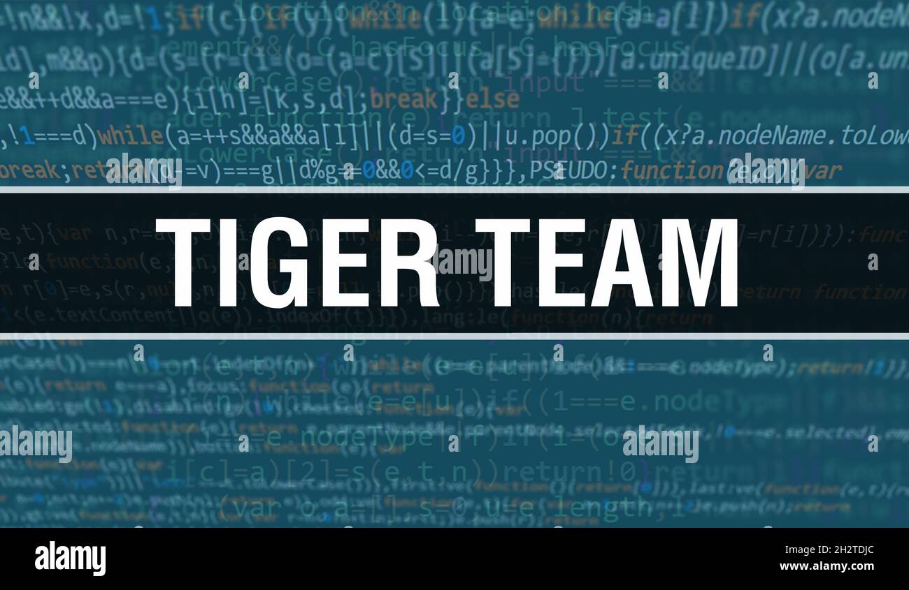 Tiger team concept with Random Parts of Program Code.Tiger team text ...