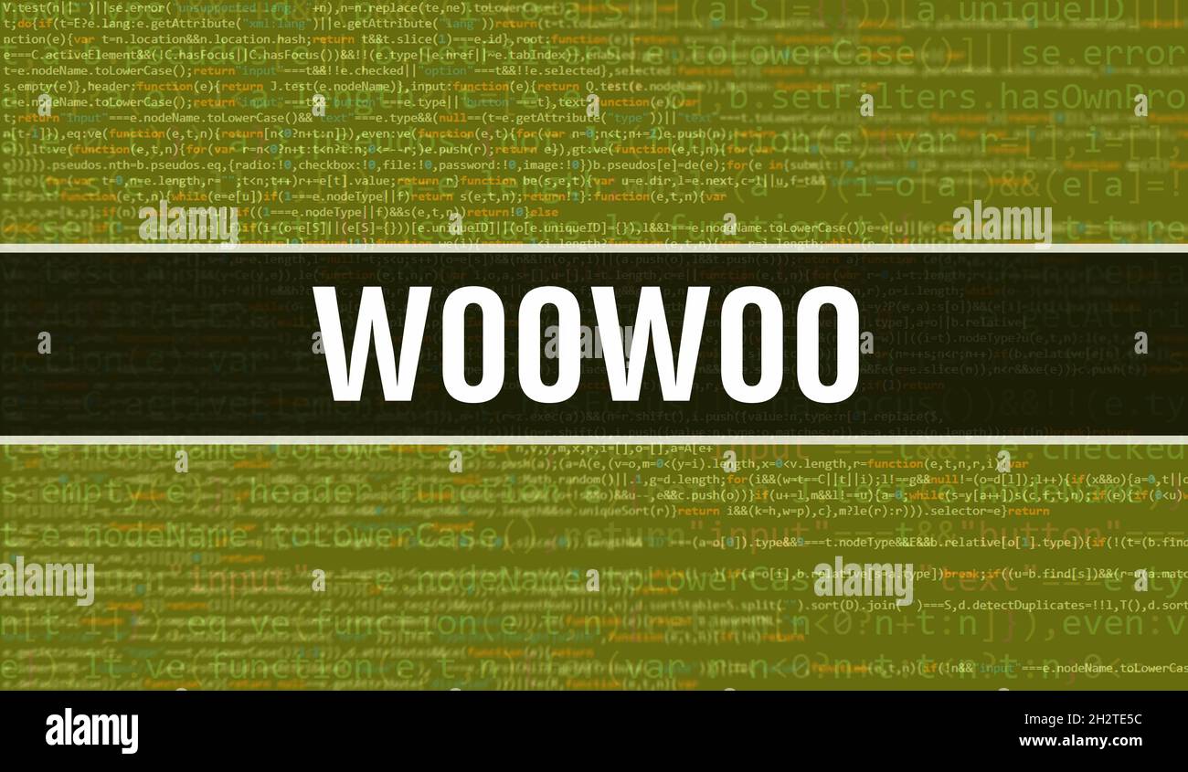 W00w00 concept with Random Parts of Program Code. W00w00 with ...