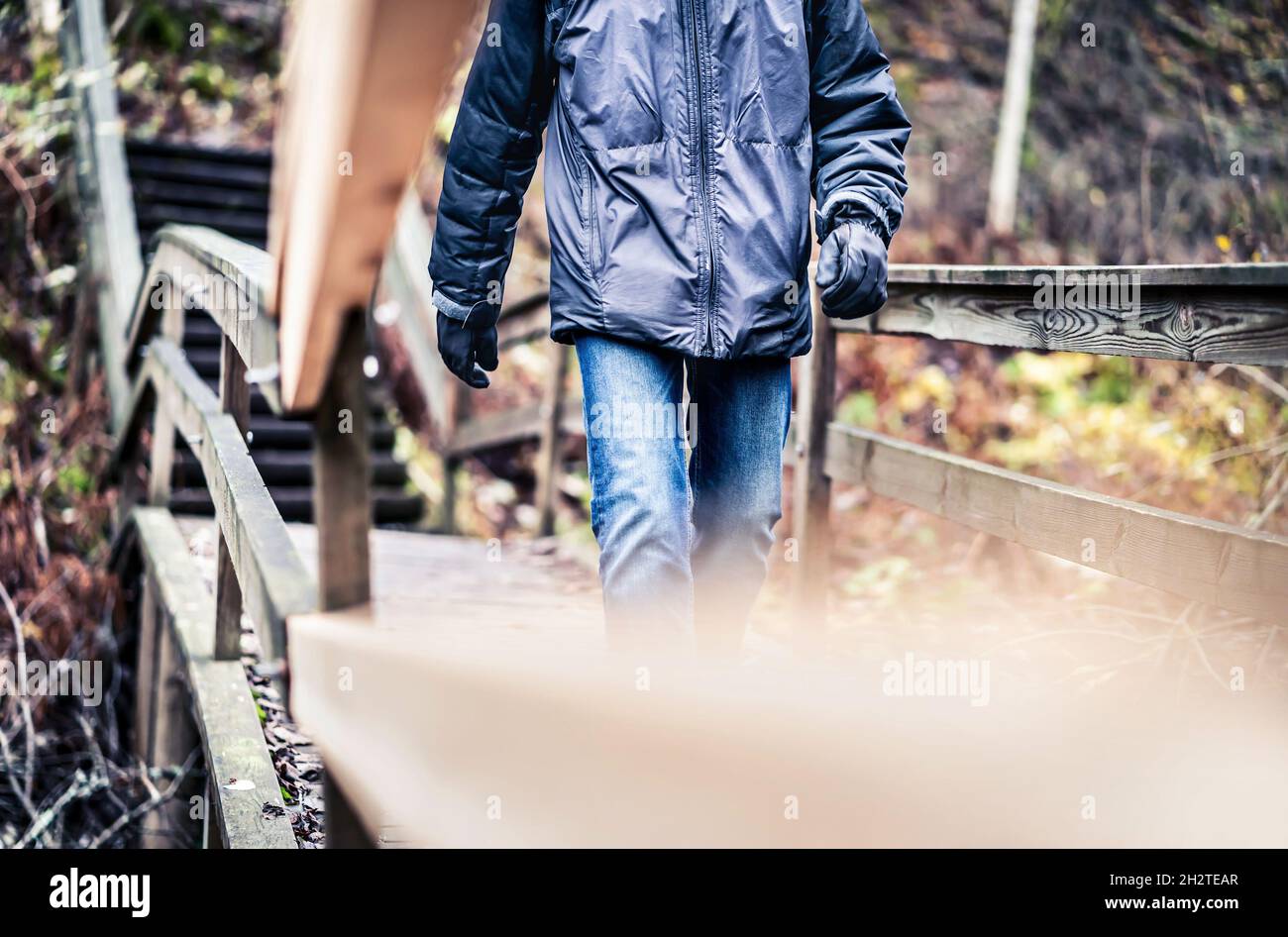 Autumn, winter, or fall walk in forest. Man on a wooden trail, path or bridge. Happy hiker with jacket and jeans enjoying outdoor fun. Stock Photo