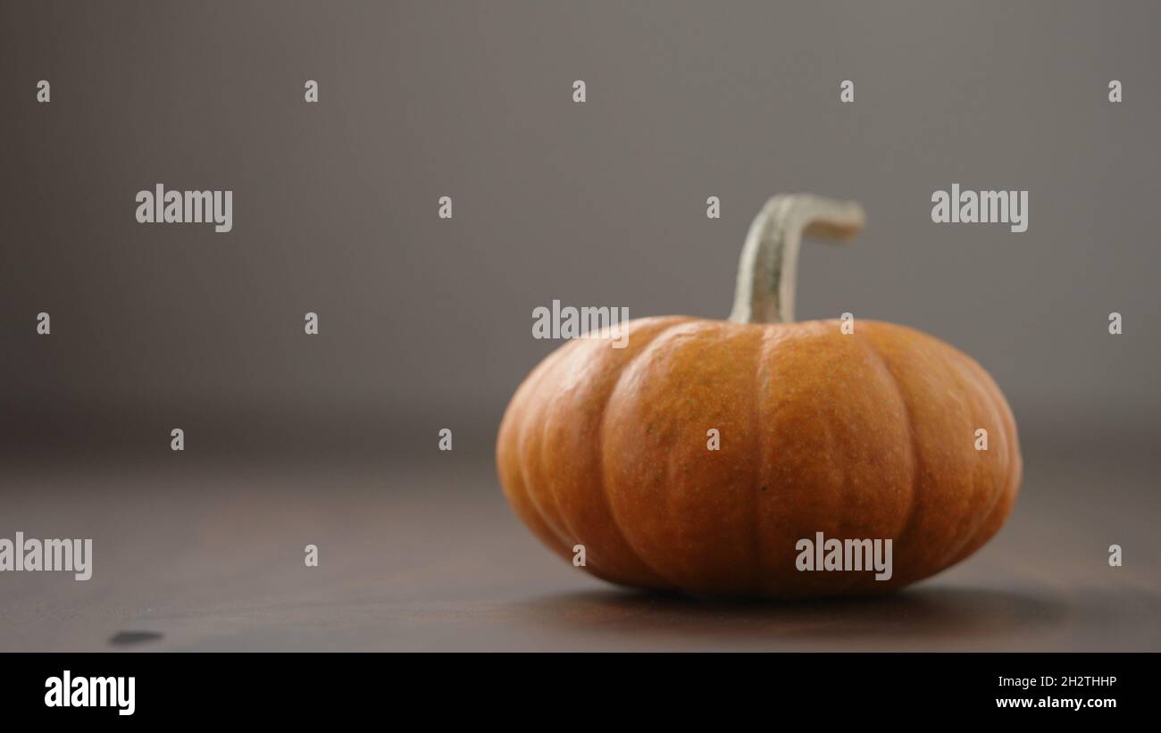 small orange pumpkin on walnut table with white and , wide photo Stock Photo
