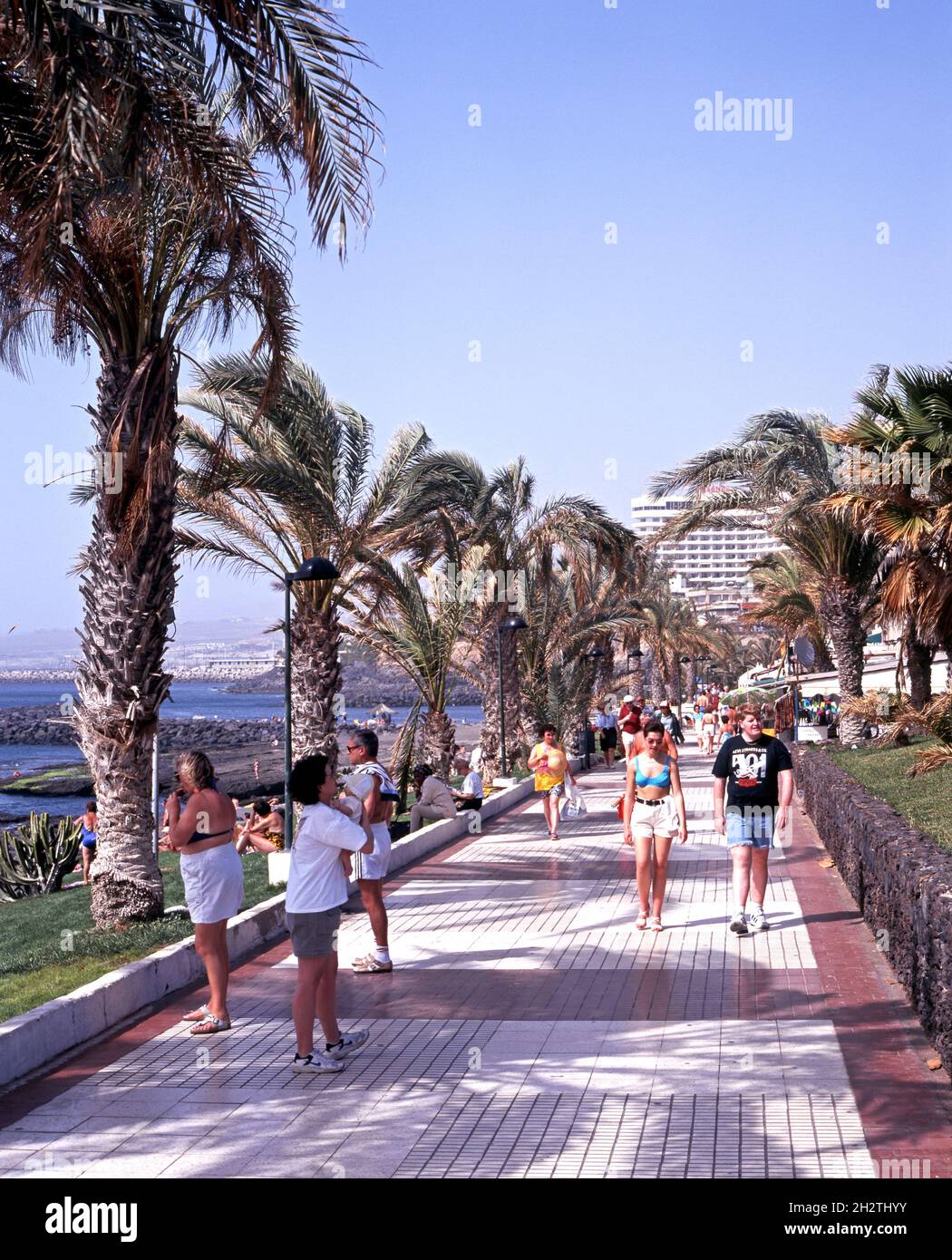 Promenade playa de las americas hi-res stock photography and images - Alamy