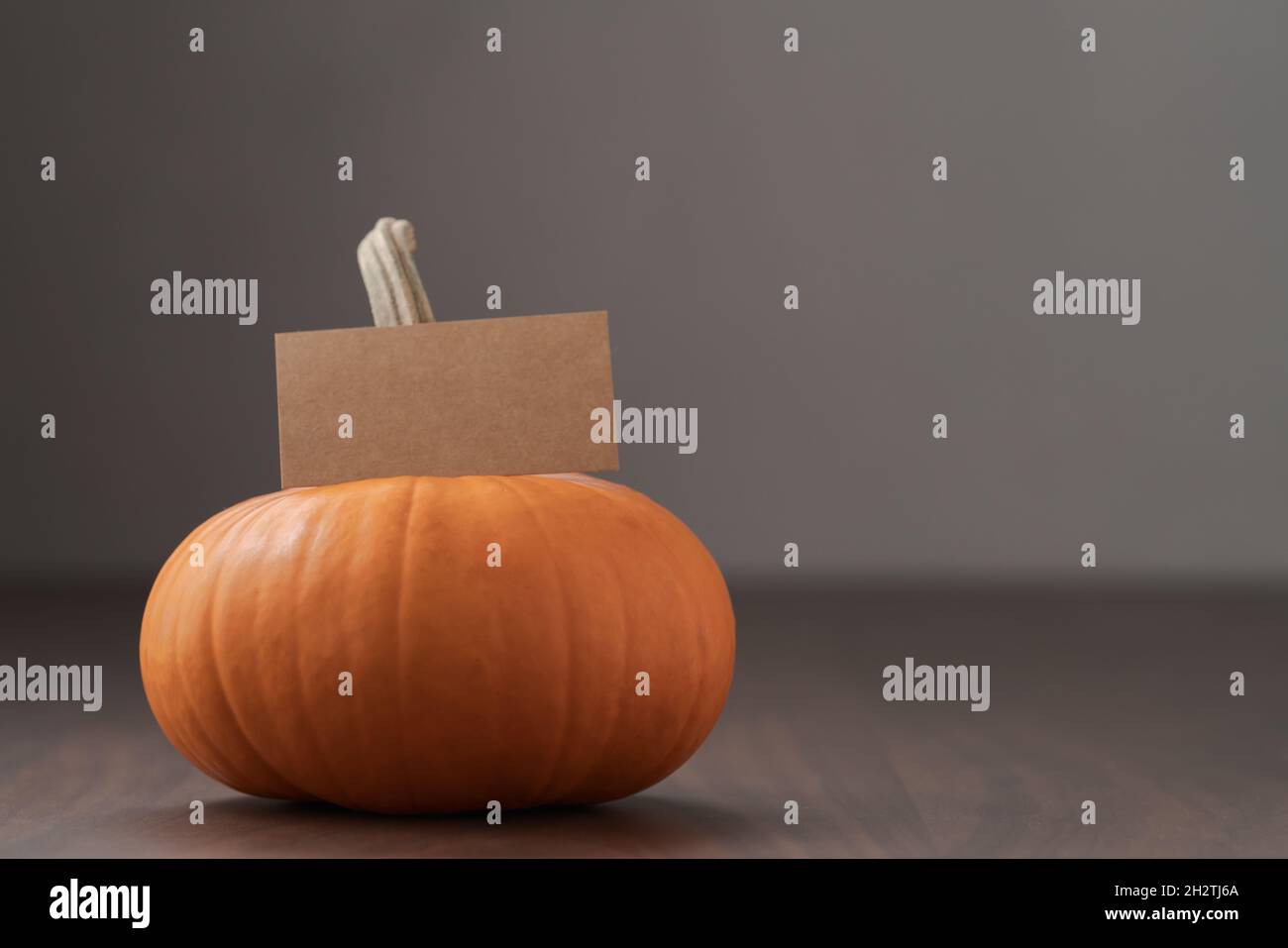 Small orange pumpkin on black walnut table with white wall background ...