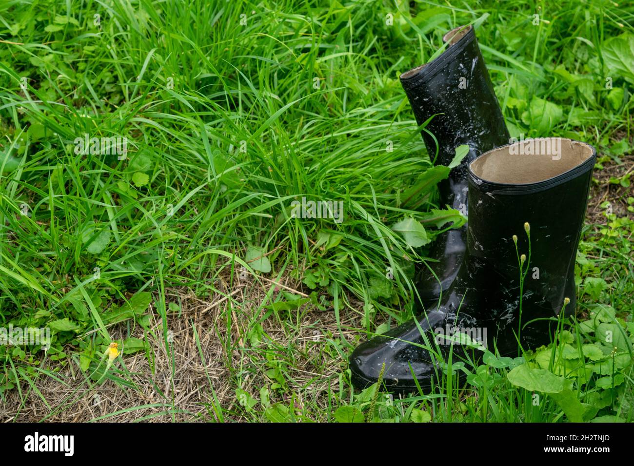A pair of black rubber boots in the green gras Stock Photo