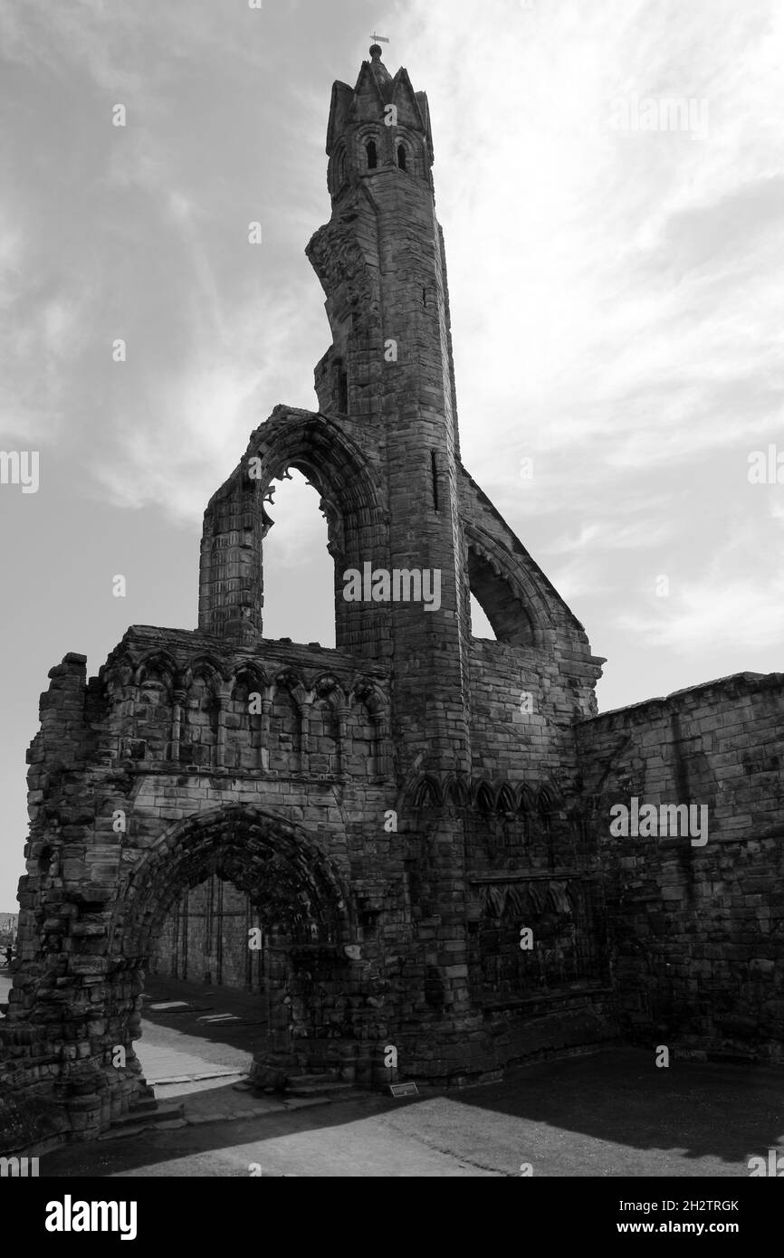 Ruin the St Andrews Cathedral, Scotland Stock Photo Alamy