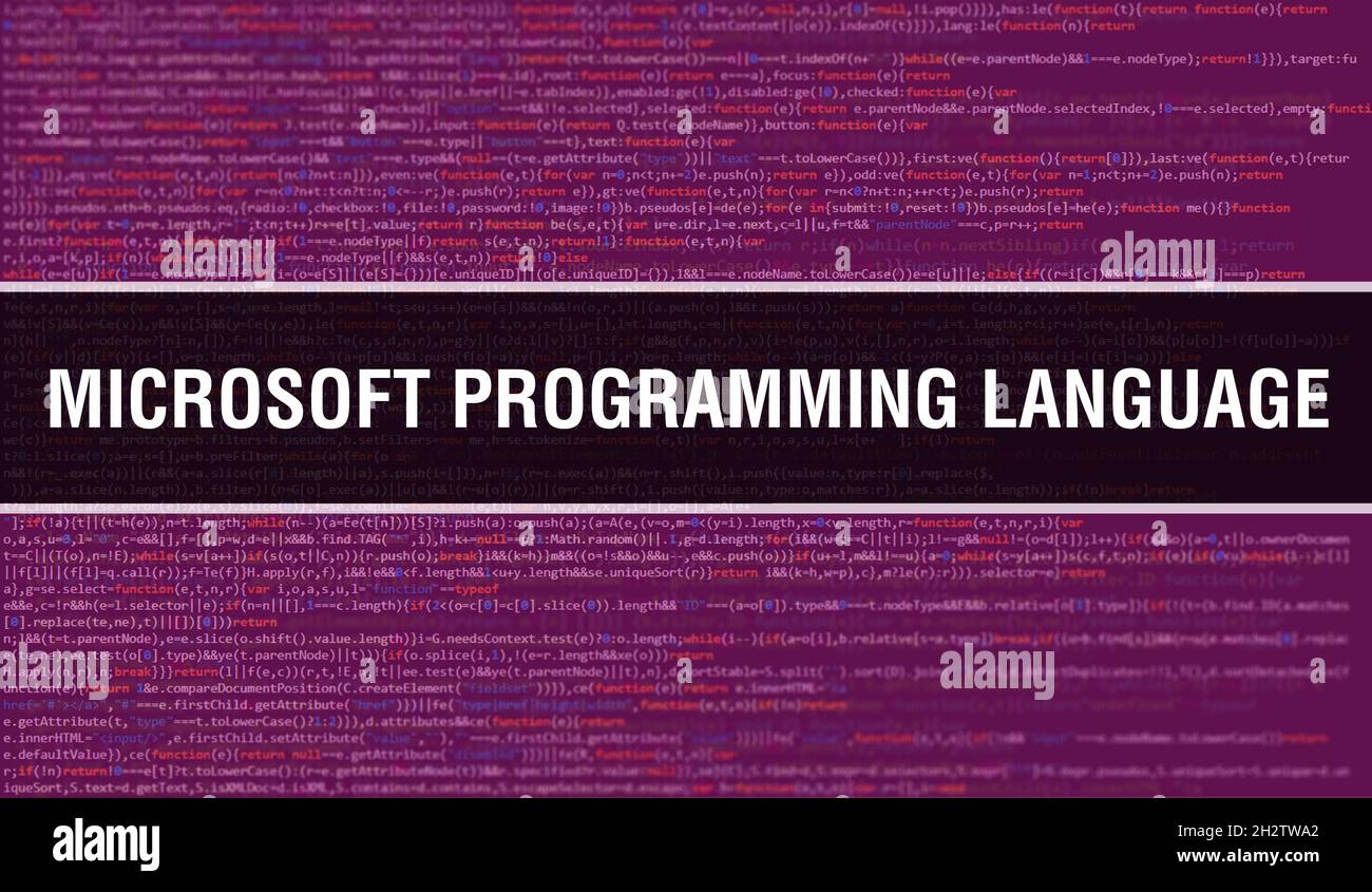 Microsoft Programming Language