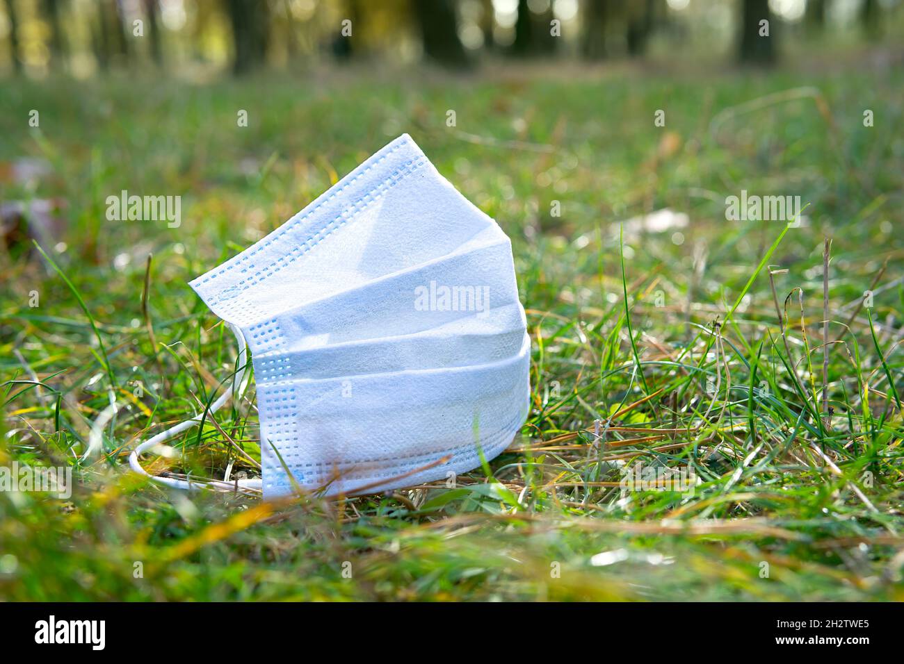 Used surgical face mask lying on the ground in the forest