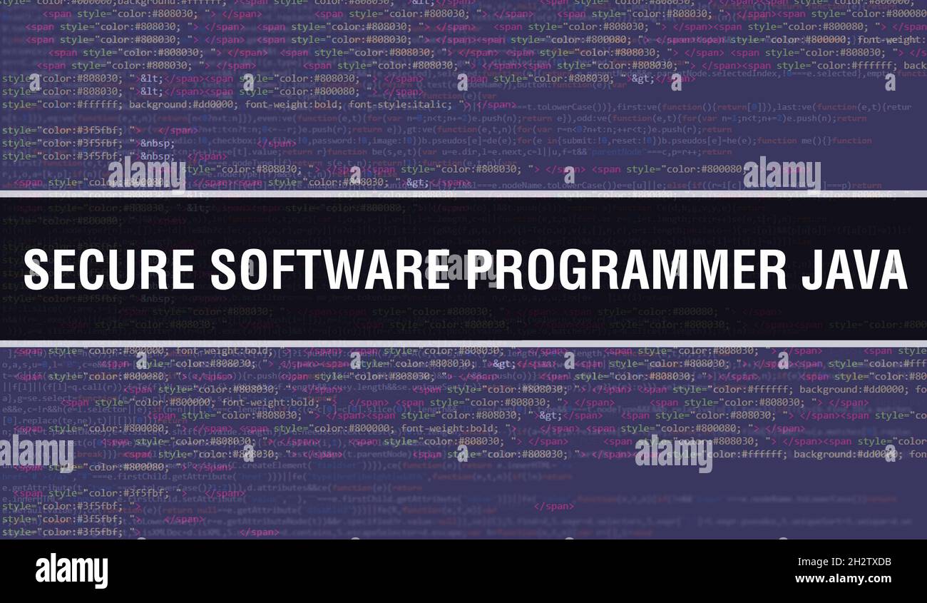 Secure Software Programmer Java with Binary code digital technology ...