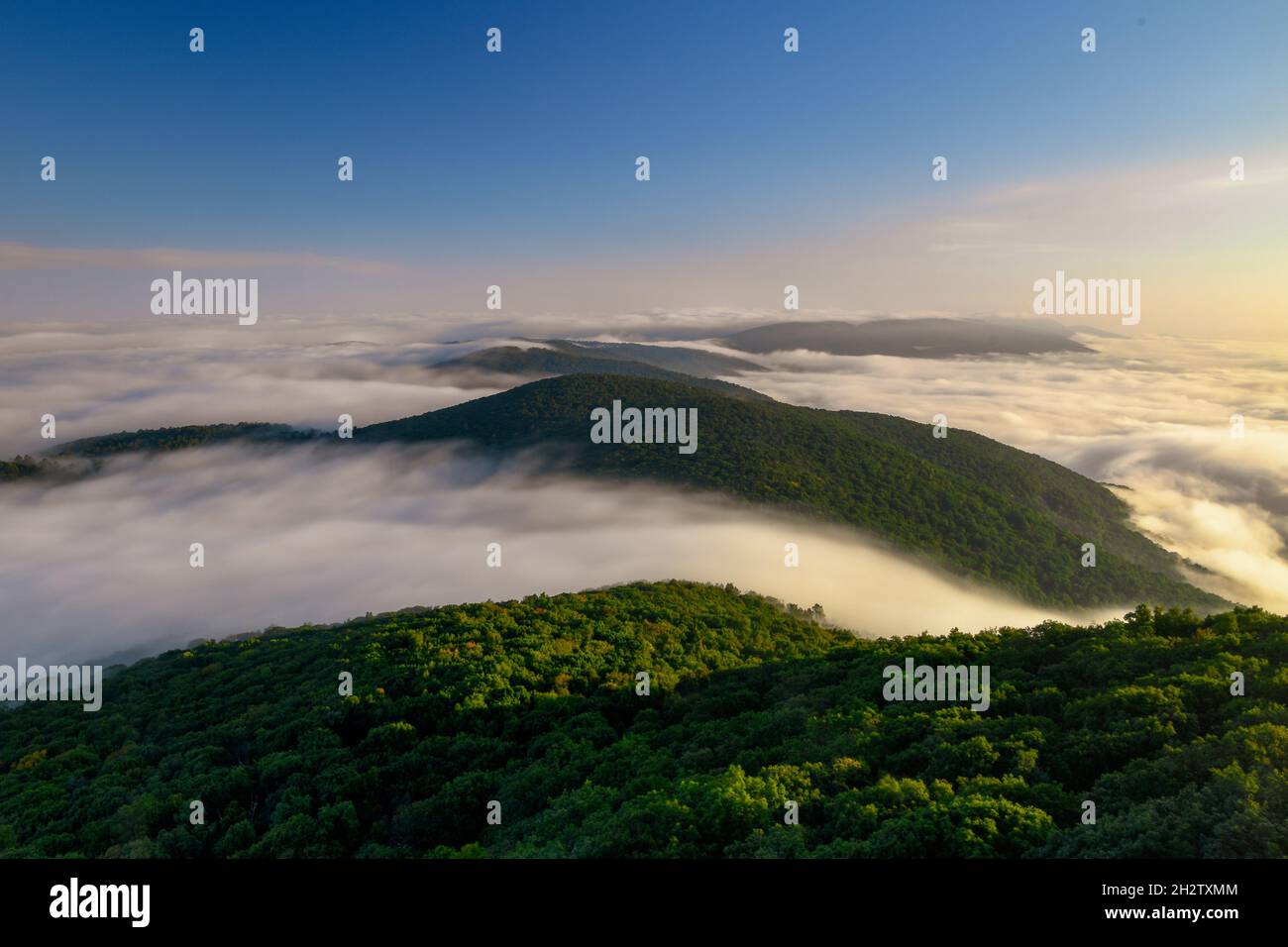 An aerial view of green mountains in clouds in the morning Stock Photo ...