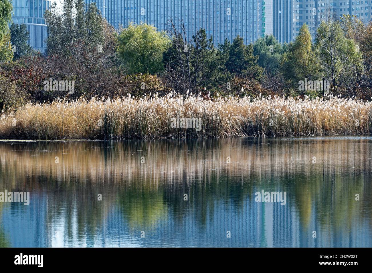Fall Is Coming Reflection autumn is coming, lakeside view and reflections Stock Photo - Alamy