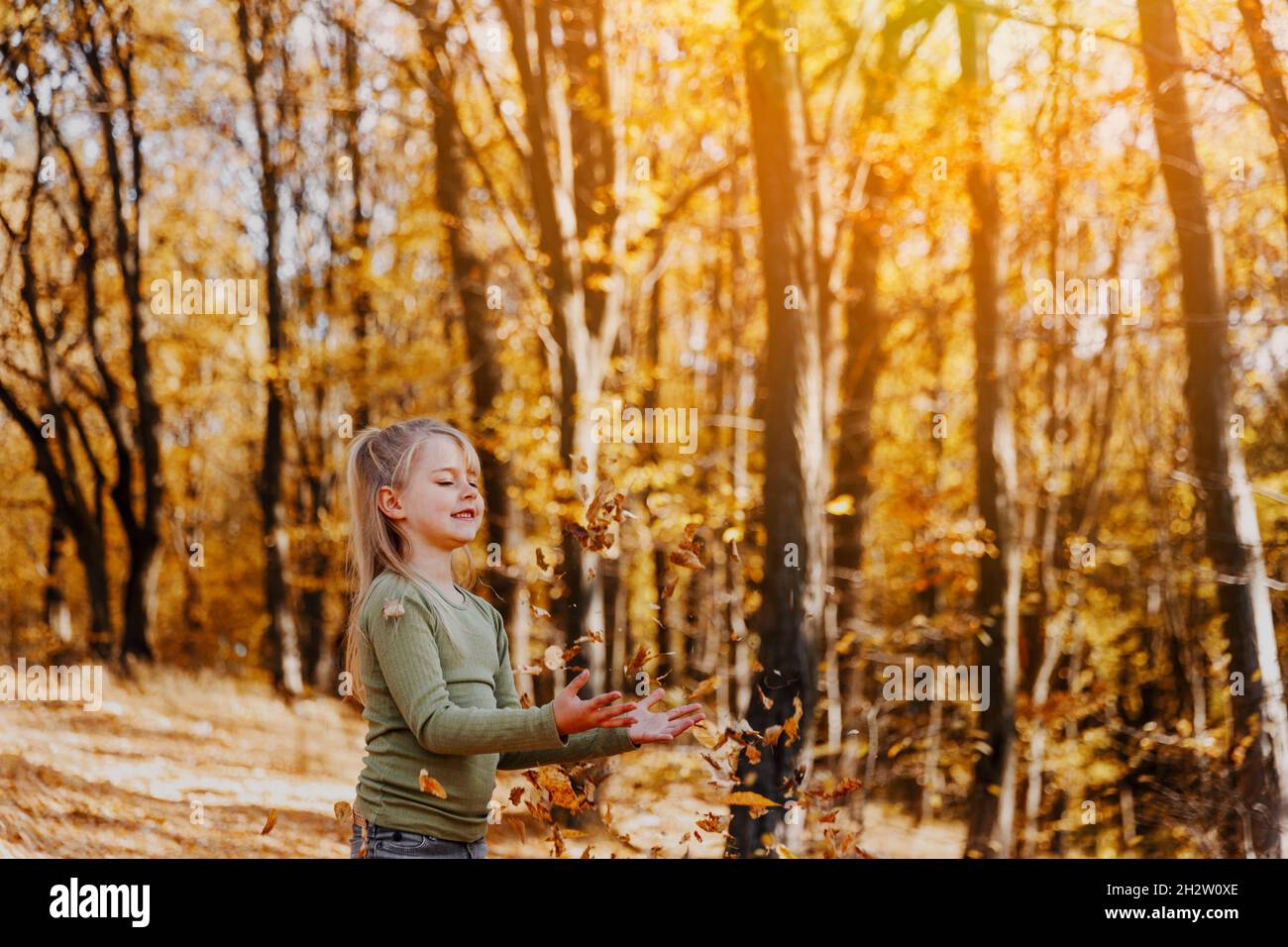 Small happy smiling little caucasian child girl playing with yellow leaves in autumn forest or garden around trees. Kid throws leaves up and they are Stock Photo