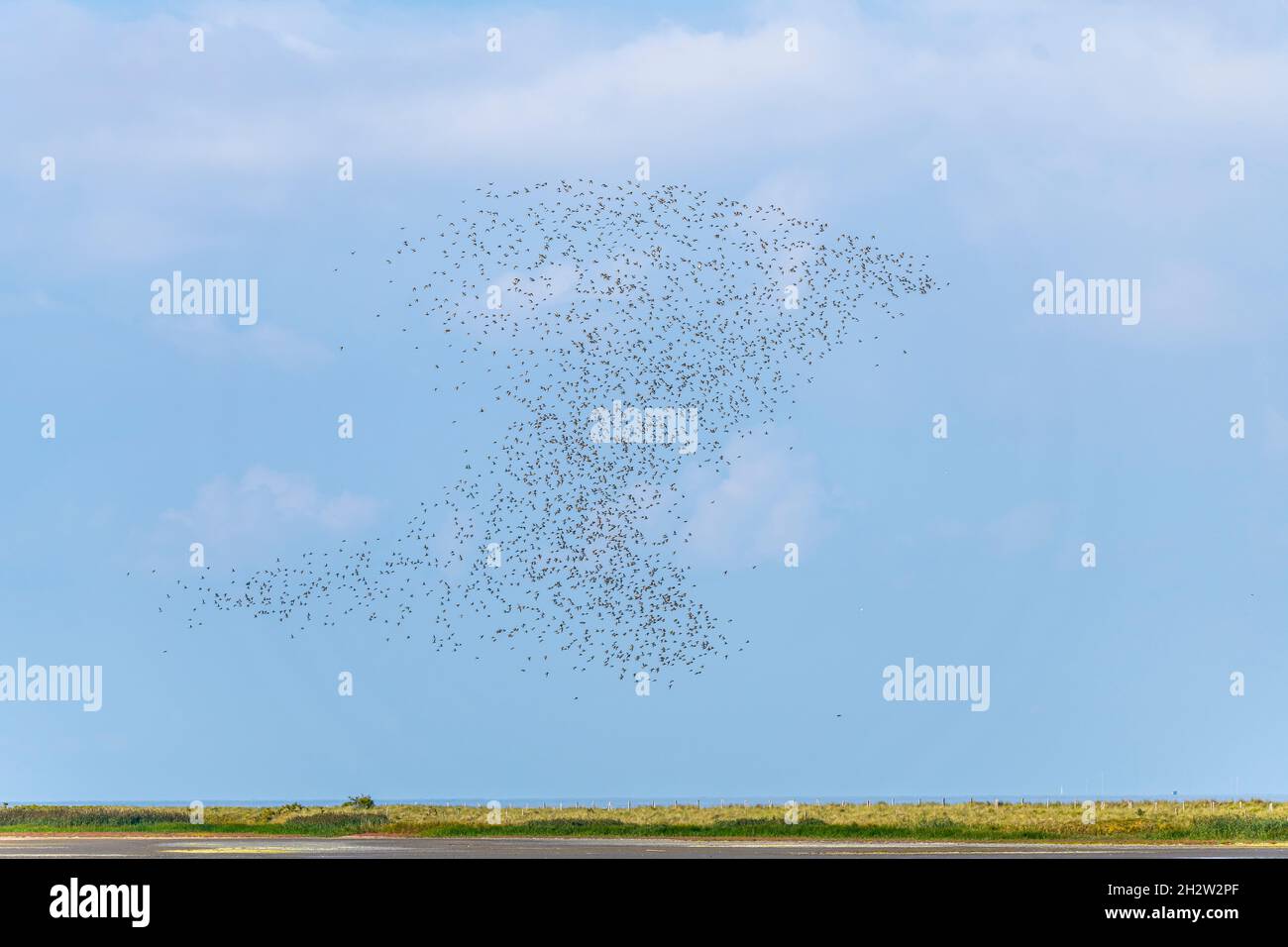 figure of bird migration in blue sky Stock Photo