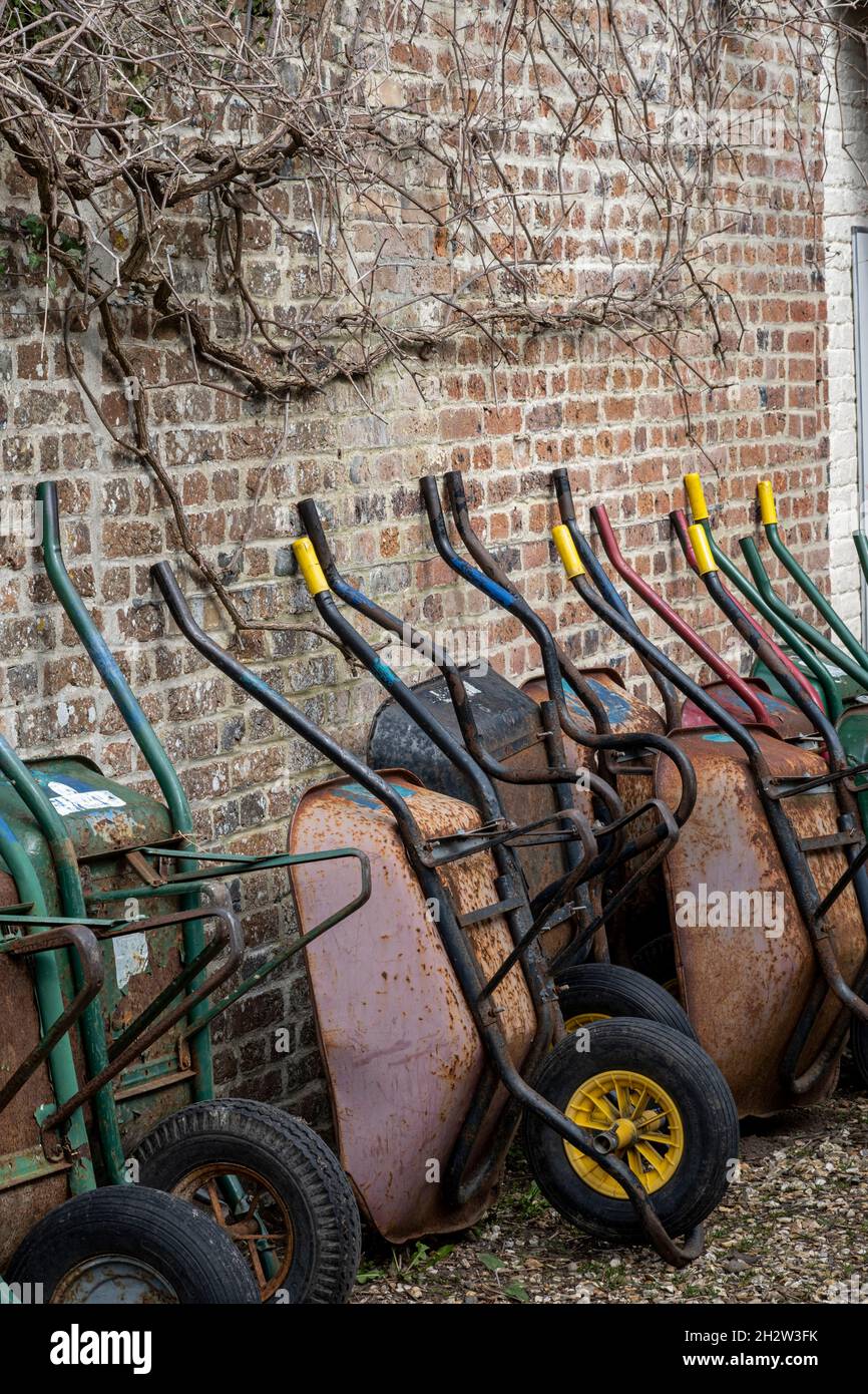 Line of wheelbarrows in large garden Stock Photo Alamy