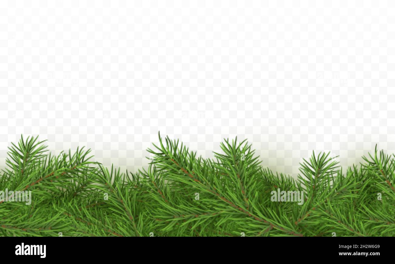 Fir tree realistic border background. Christmas tree brancher texture. Winter seasonal decorations with space for text. Vector illustration isolated o Stock Vector