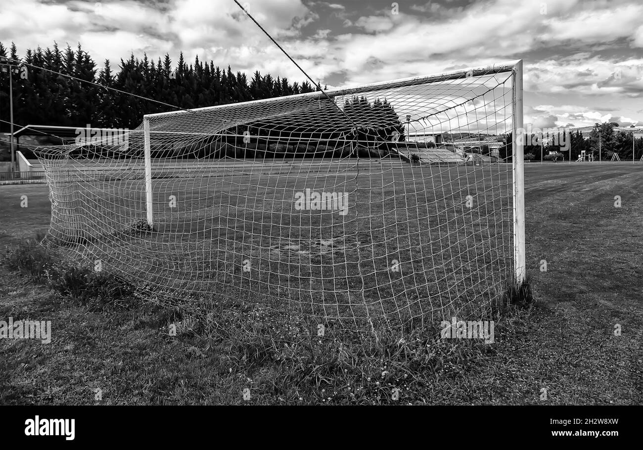 Detail of soccer field, goal, sport and competition Stock Photo Alamy