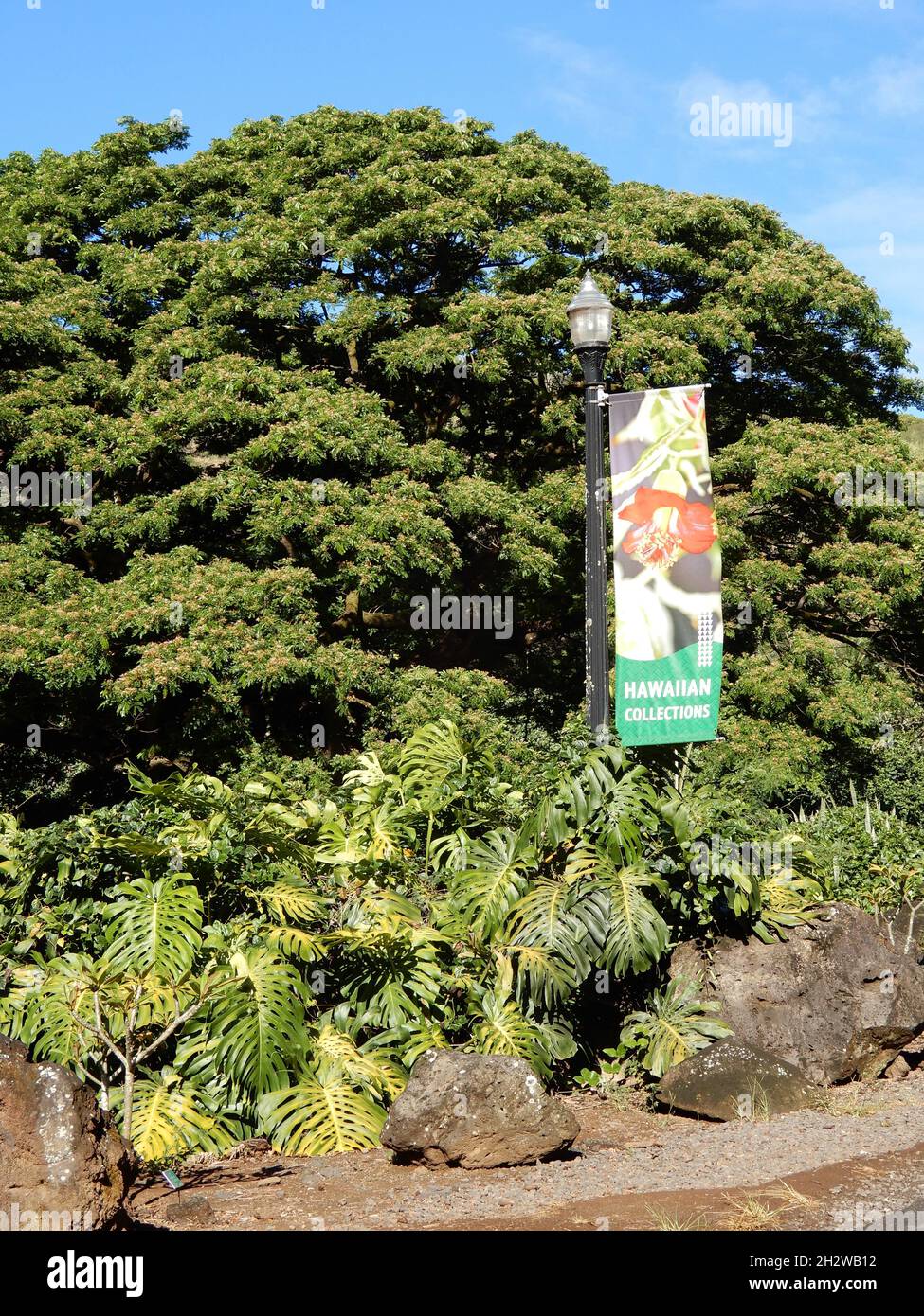 Oahu, HI U.S.A. 6/4&7/2021. Waimea Valley Visitors Center. Waimea