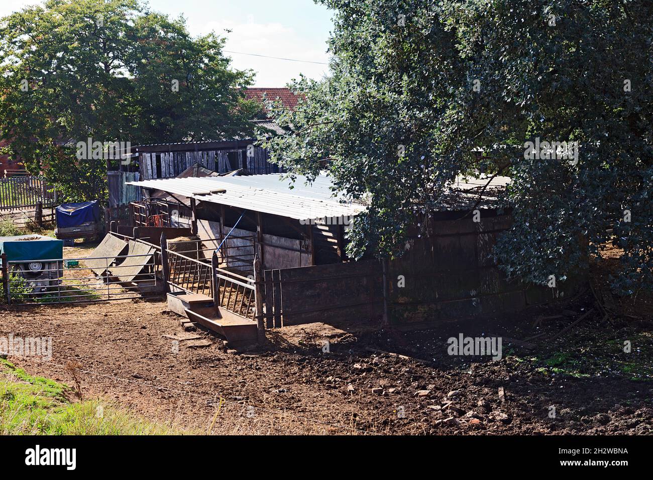 Animal outbuildings on small holding at Cromwell village, Nottinghamshire, England, UK Stock Photo