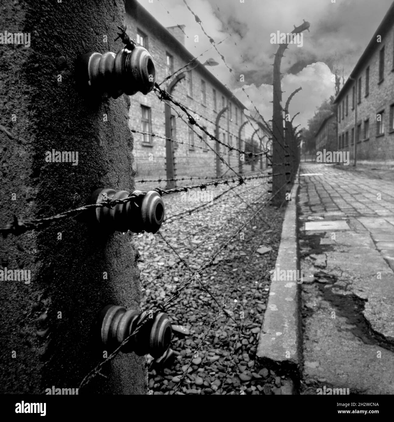 Auschwitz-Birkenau concentration camp, Oswiecim, Poland - view of electrified fences and barbed wire. Stock Photo