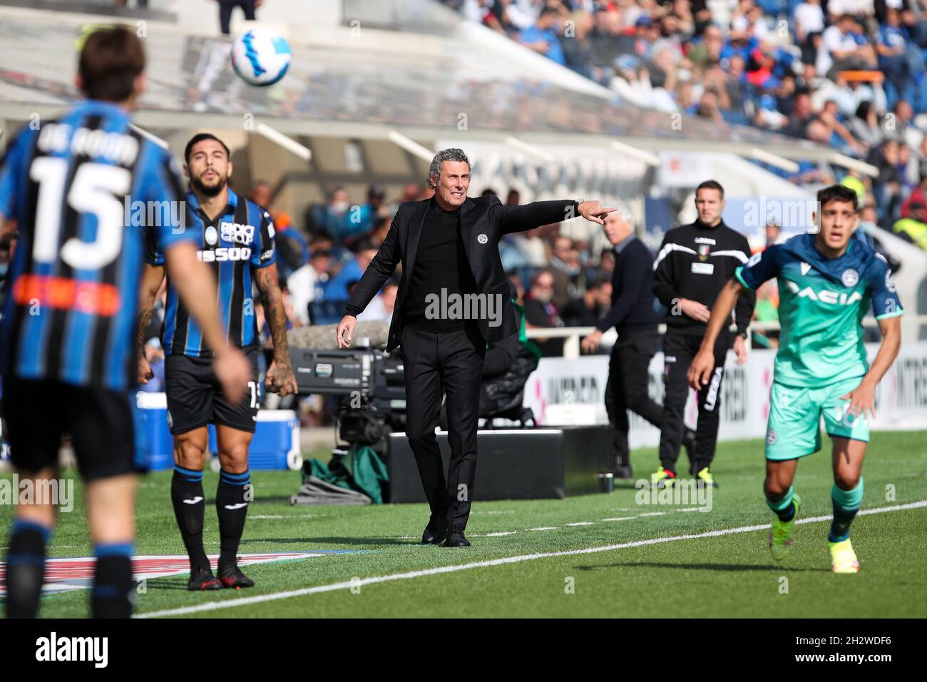 Luca Gotti Hi res Stock Photography And Images Alamy luca-gotti-hi-res-stock-photography-and-images-alamy