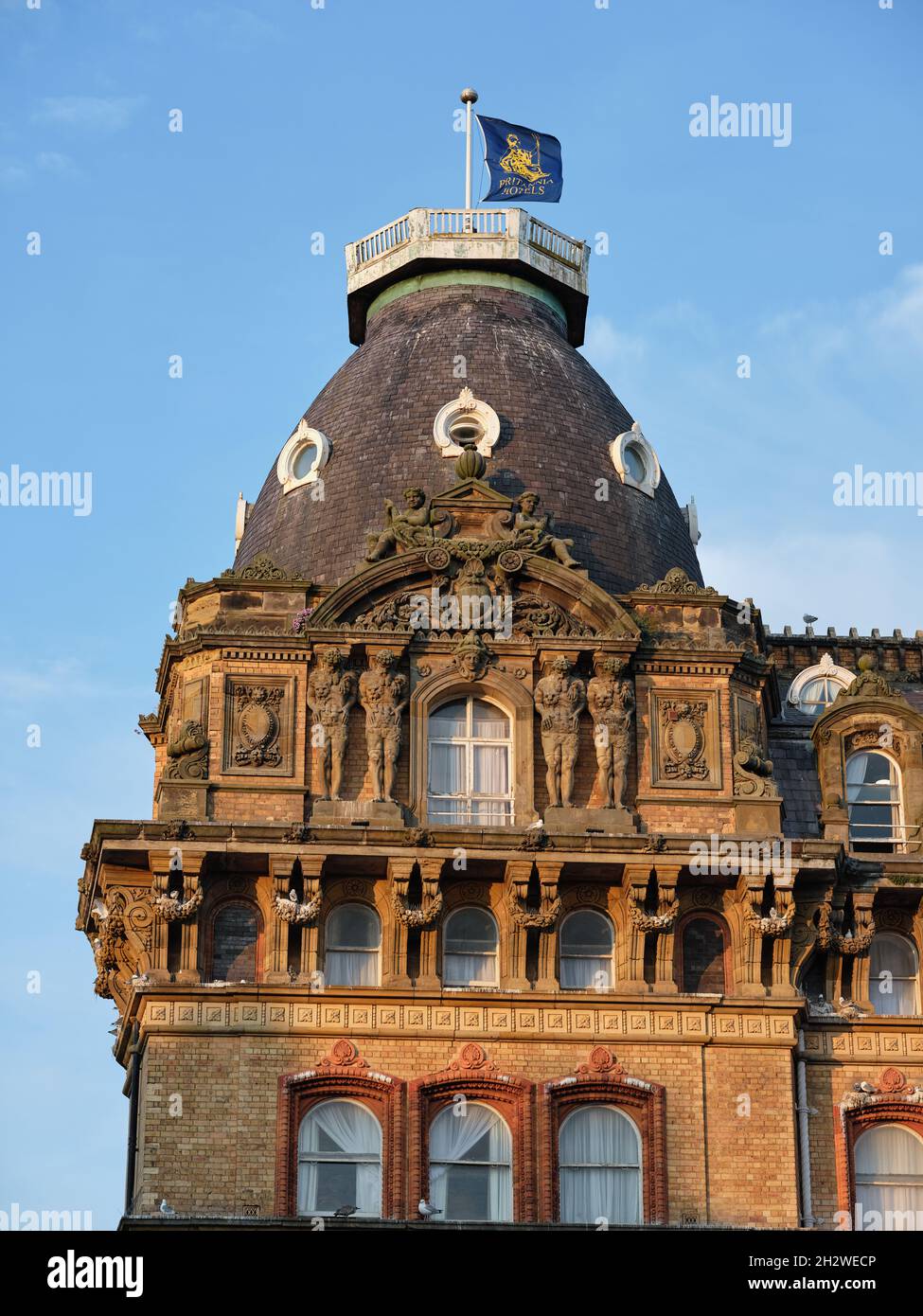 kittiwakes-nesting-on-the-grand-hotel-a-large-hotel-in-scarborough