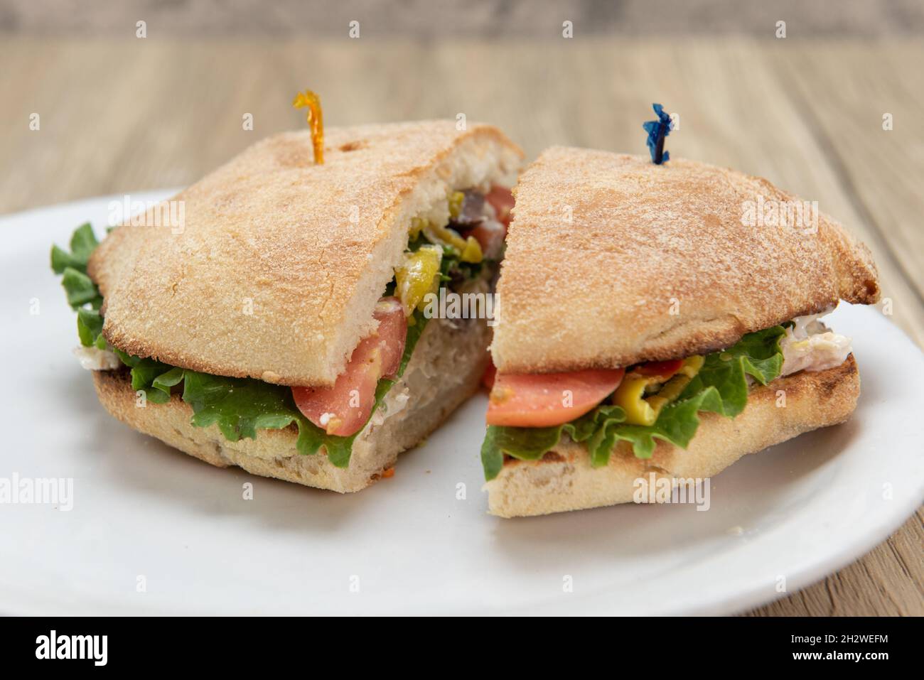 Delicious albacore sandwich loaded with chopped vegetables, roma tomatoes and garlic basil sauce. Stock Photo
