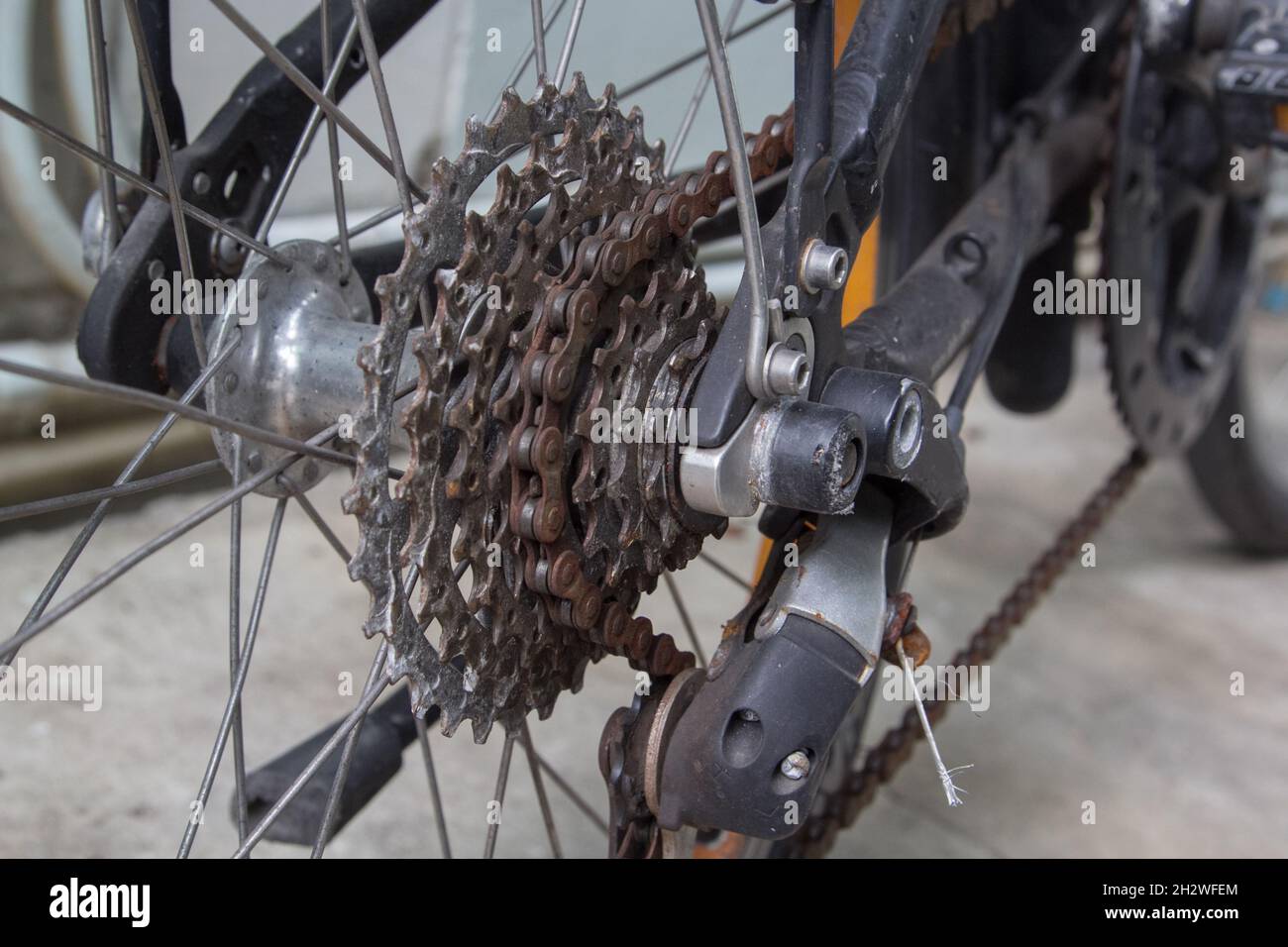 Close up of dirty bicycle rear gear and rusty chain Stock Photo