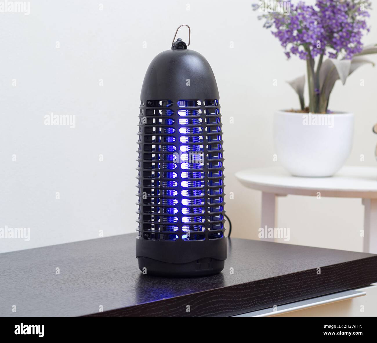 Insect killer light hi-res stock photography and images - Alamy
