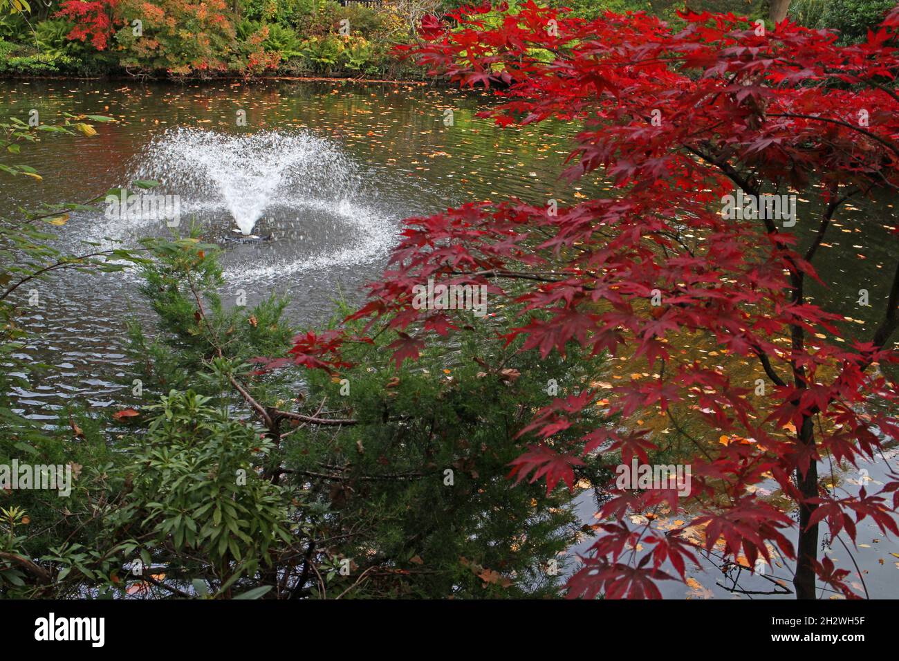 Autumn scenes in the Dingle, Shrewsbury Stock Photo