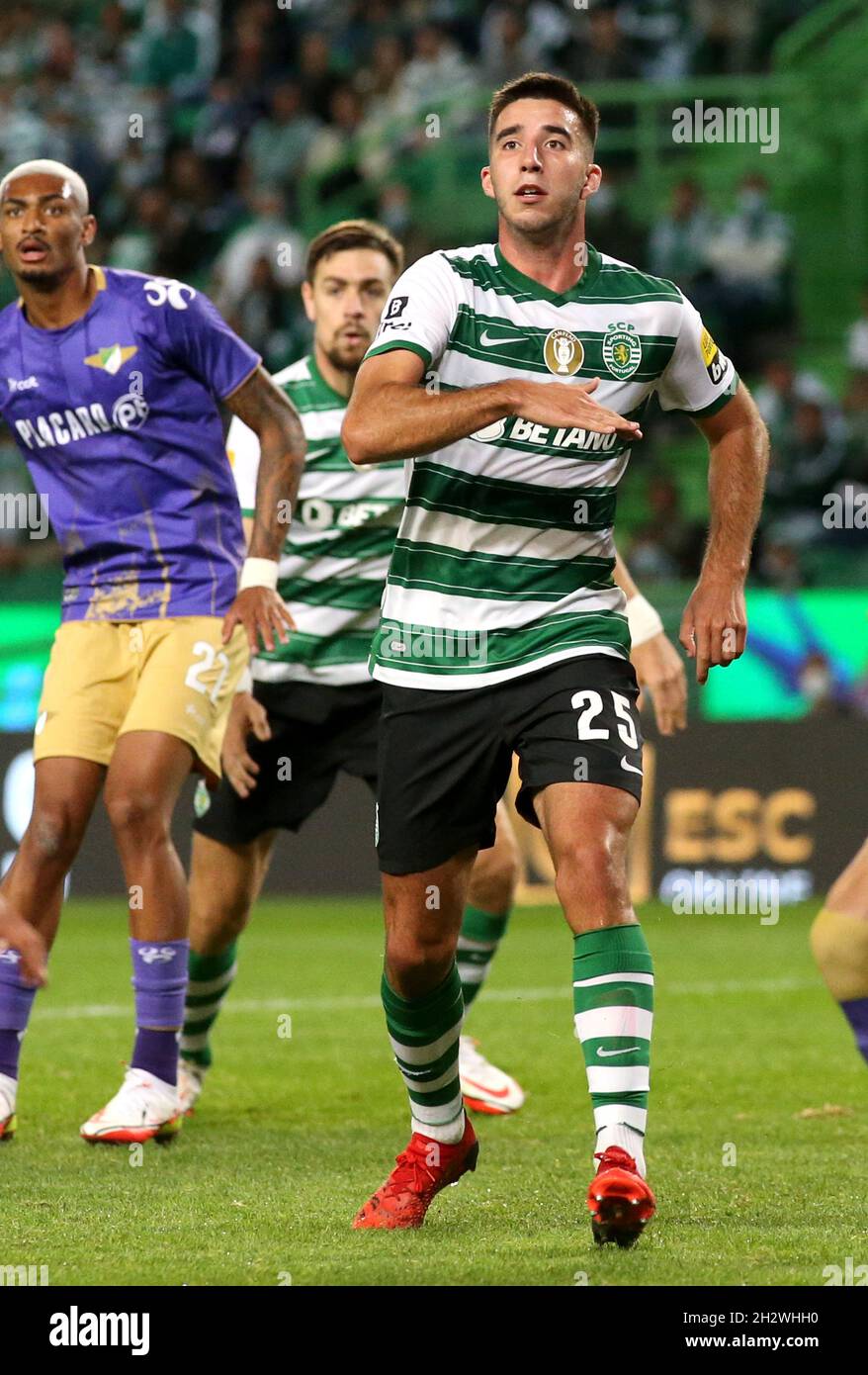 lisbon-portugal-october-23-goncalo-inacio-of-sporting-cp-in-action