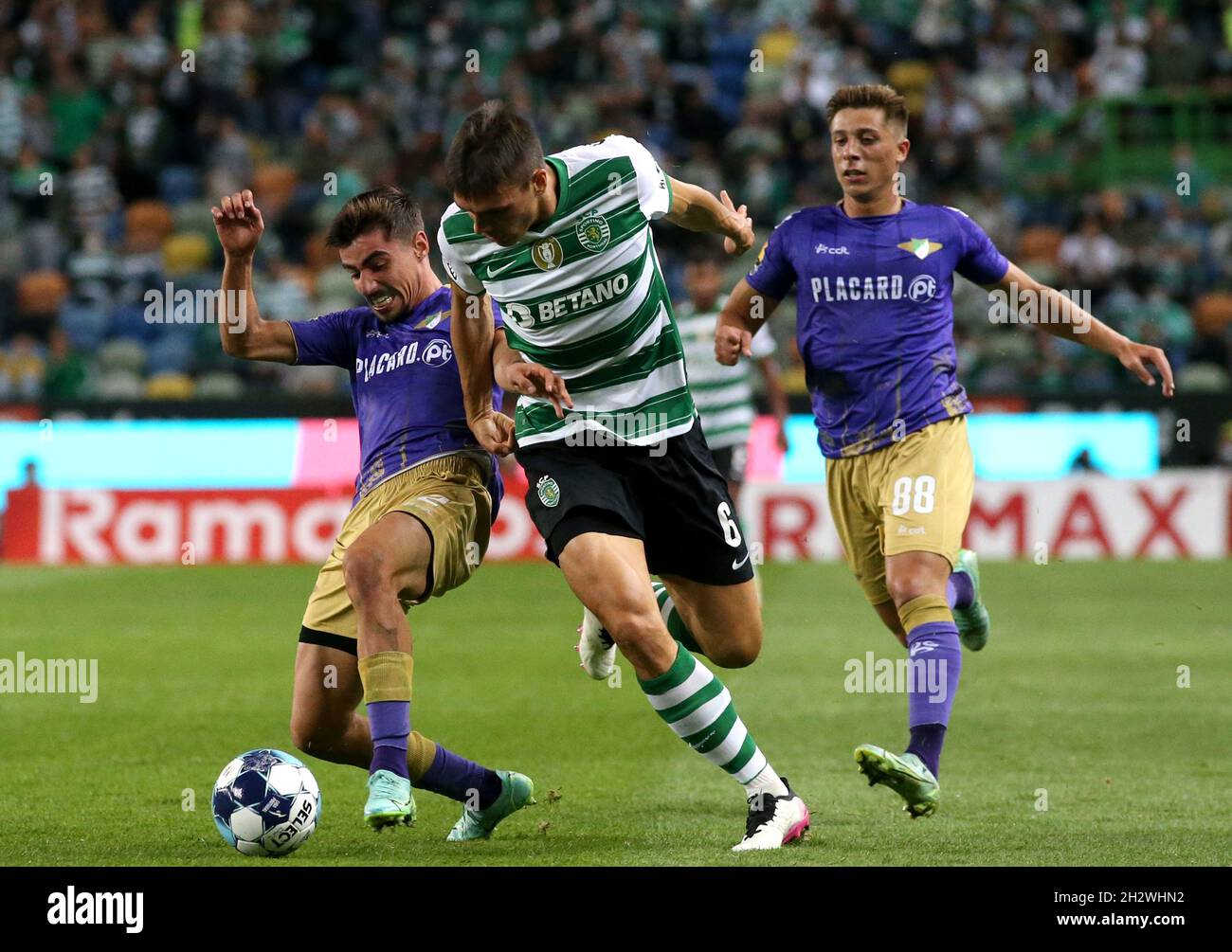 LISBON, PORTUGAL - OCTOBER 23: Joao Palhinha of Sporting CP competes for the ball with Rodrigo Conceicao of Moreirense FC ,during the Liga Portugal Bwin match between Sporting CP and Moreirense FC at Estadio Jose Alvalade on October 23, 2021 in Lisbon, Portugal. (Photo by MB Media) Stock Photo