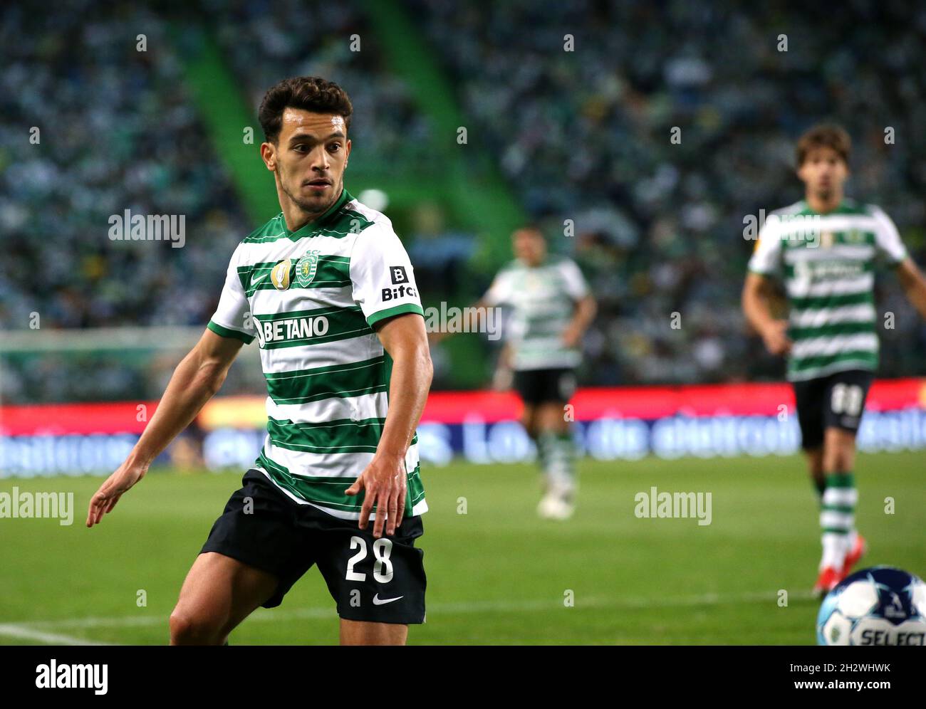 Pedro Goncalves Liga Portugal Game Sporting Moreirense Estadio Jose  Alvalade – Stock Editorial Photo © mrogowski_photography #676747364