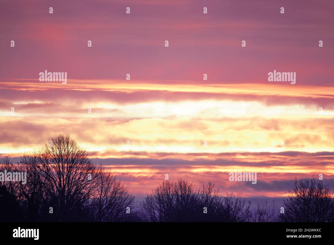 Fire red dawn sky forest hi-res stock photography and images - Alamy