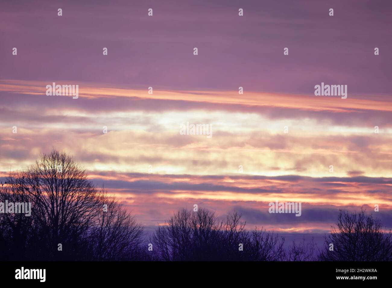 Fire red dawn sky forest hi-res stock photography and images - Alamy