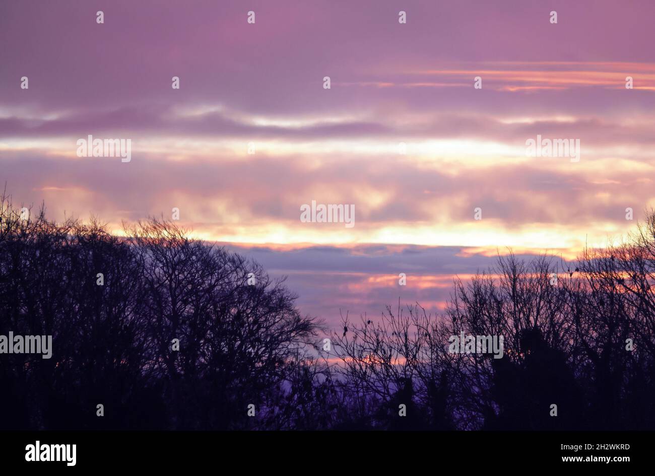 Fire red dawn sky forest hi-res stock photography and images - Alamy