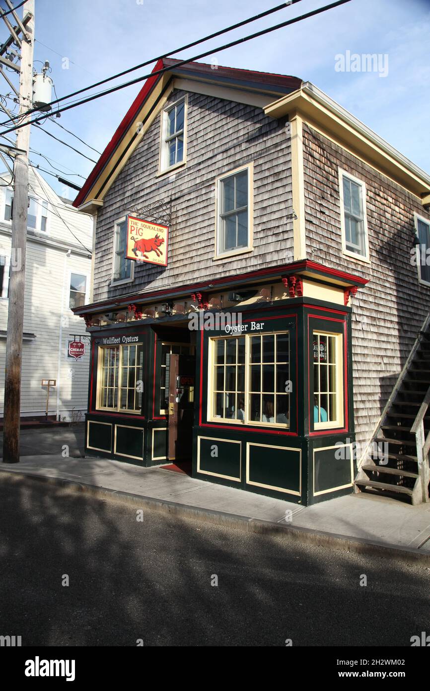 PROVINCETOWN, MASSACHUSETTS SEPTEMBER 14, 2014 The Squealing Pig