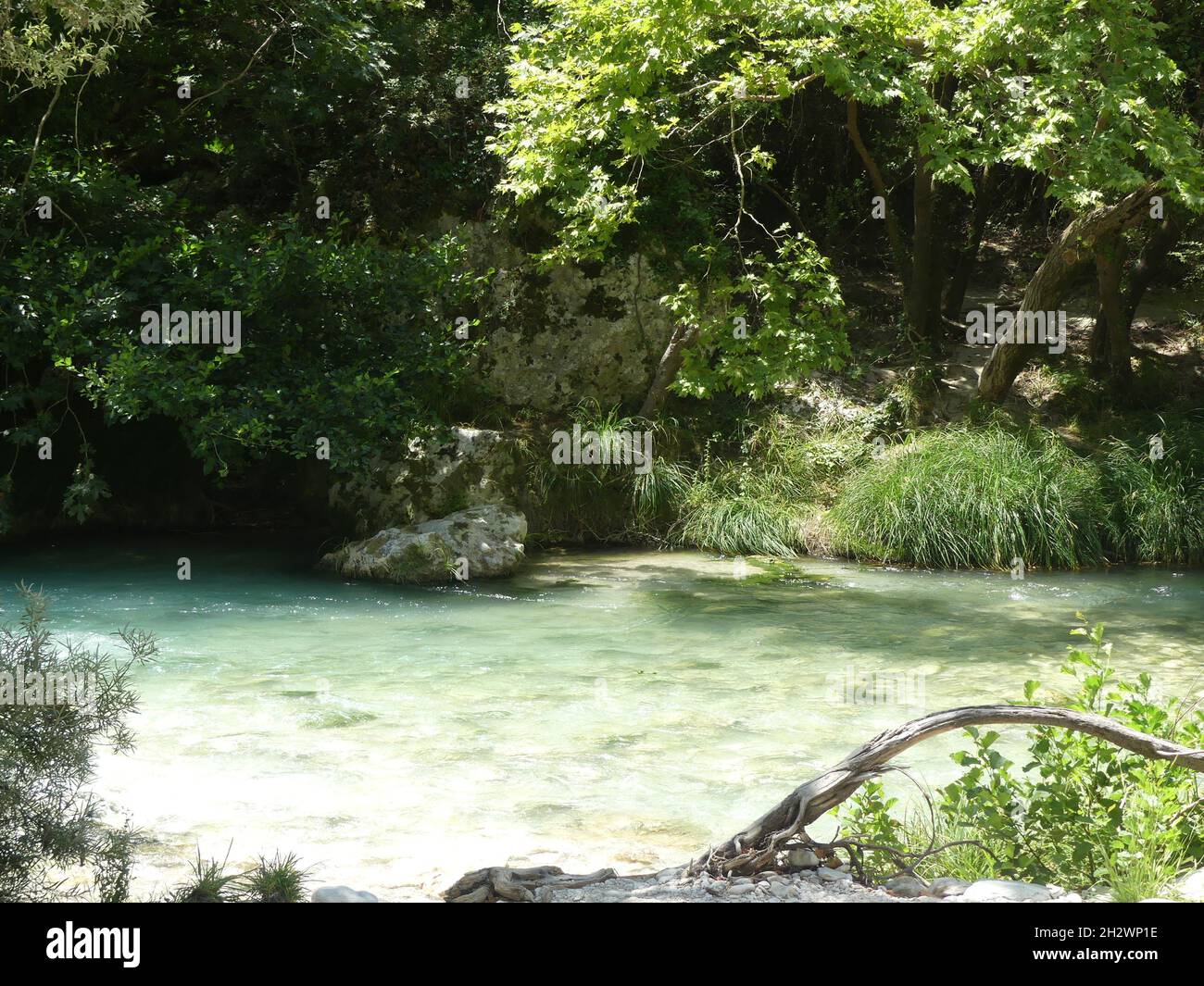 A beautiful view of a river ln the forest under sunlight Stock Photo