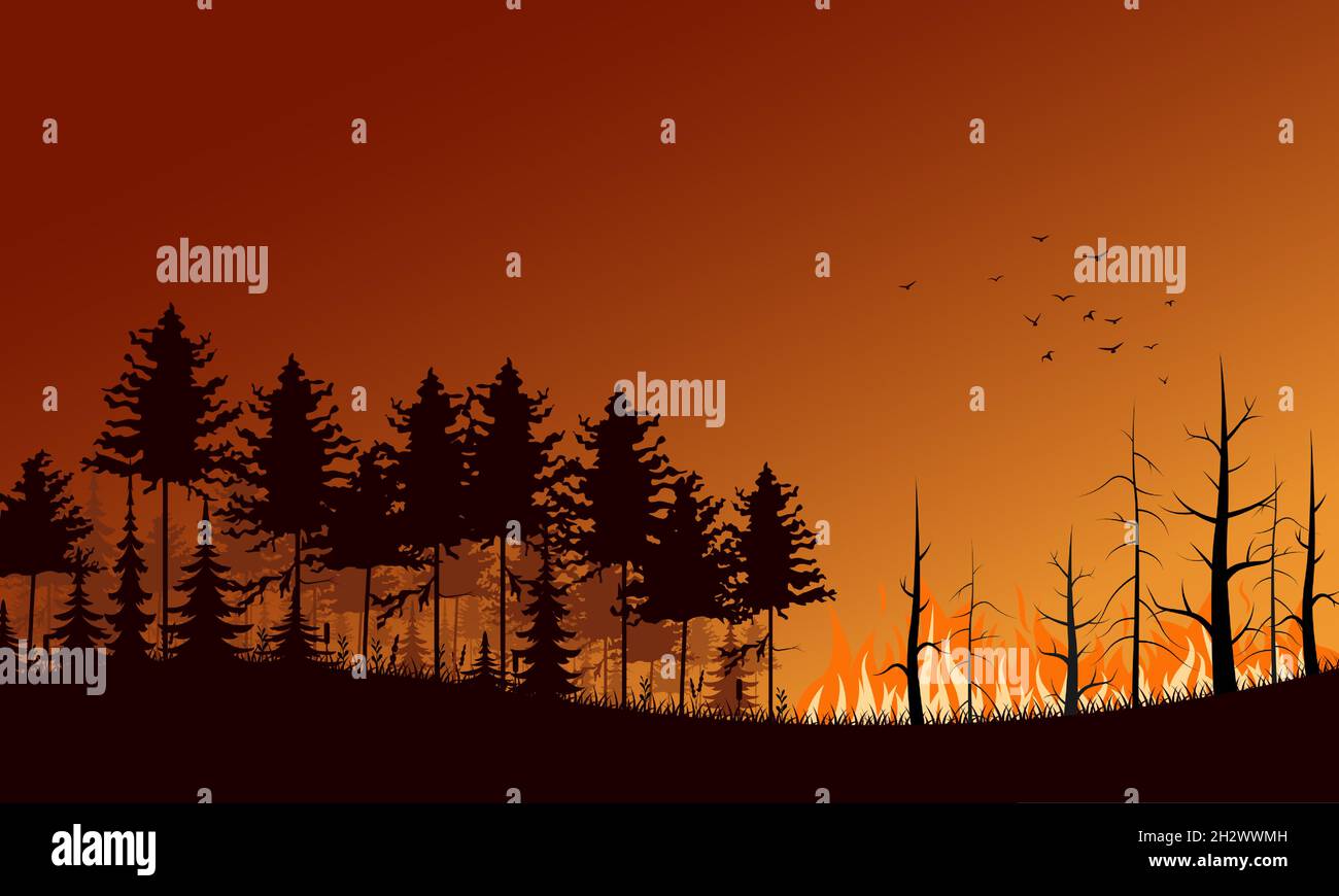 Forest fire. Flat vector illustration. Burning forest spruces in fire flames vector illustration Stock Vector