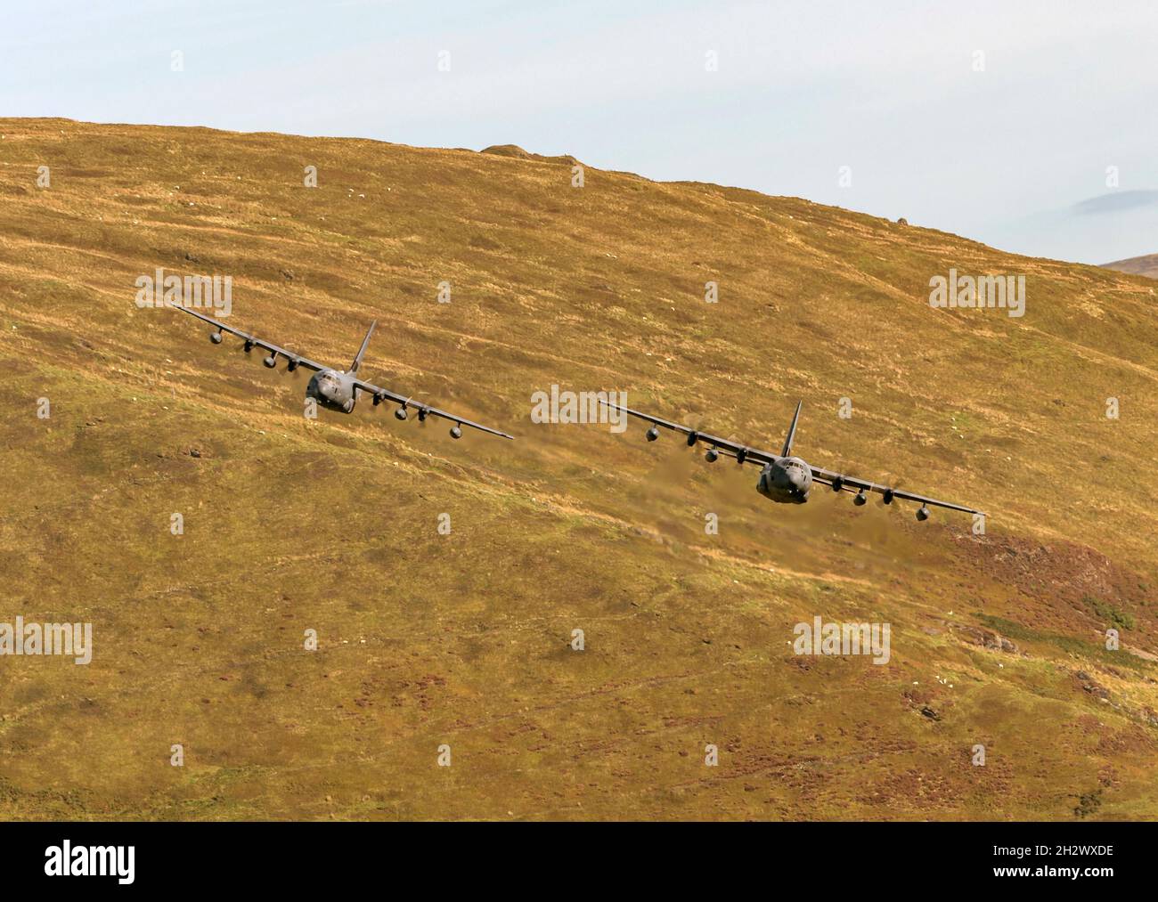 USAF Hercules MC-130J 11-5731 Commando II, flying low level in LFA7, Snowdonia, Wales, UK (Mach Loop) Stock Photo