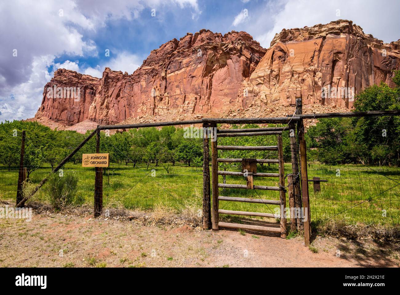 Johnson Orchard - Capitol Reef National Park - Torrey, Utah Stock Photo