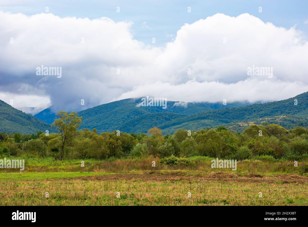 rural field in mountains at dawn. cloudy early autumn weather Stock Photo