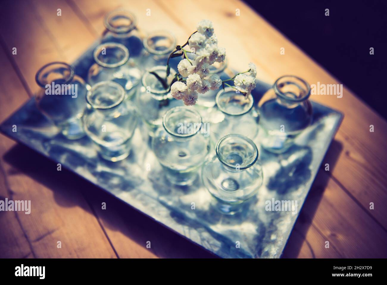 Glass Vases Decoration Stock Photo