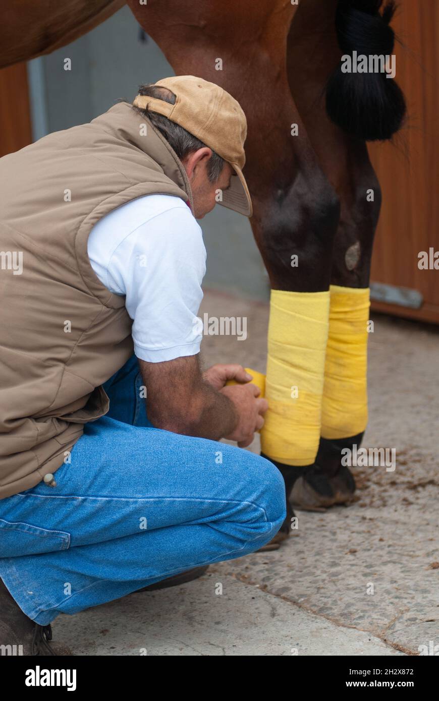 horse keeper selling his legs Stock Photo Alamy