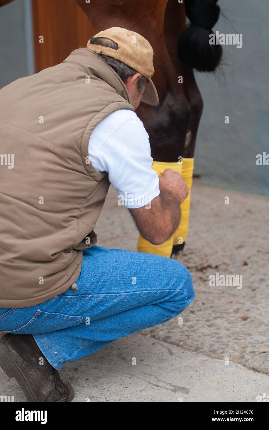 horse keeper selling his legs Stock Photo Alamy