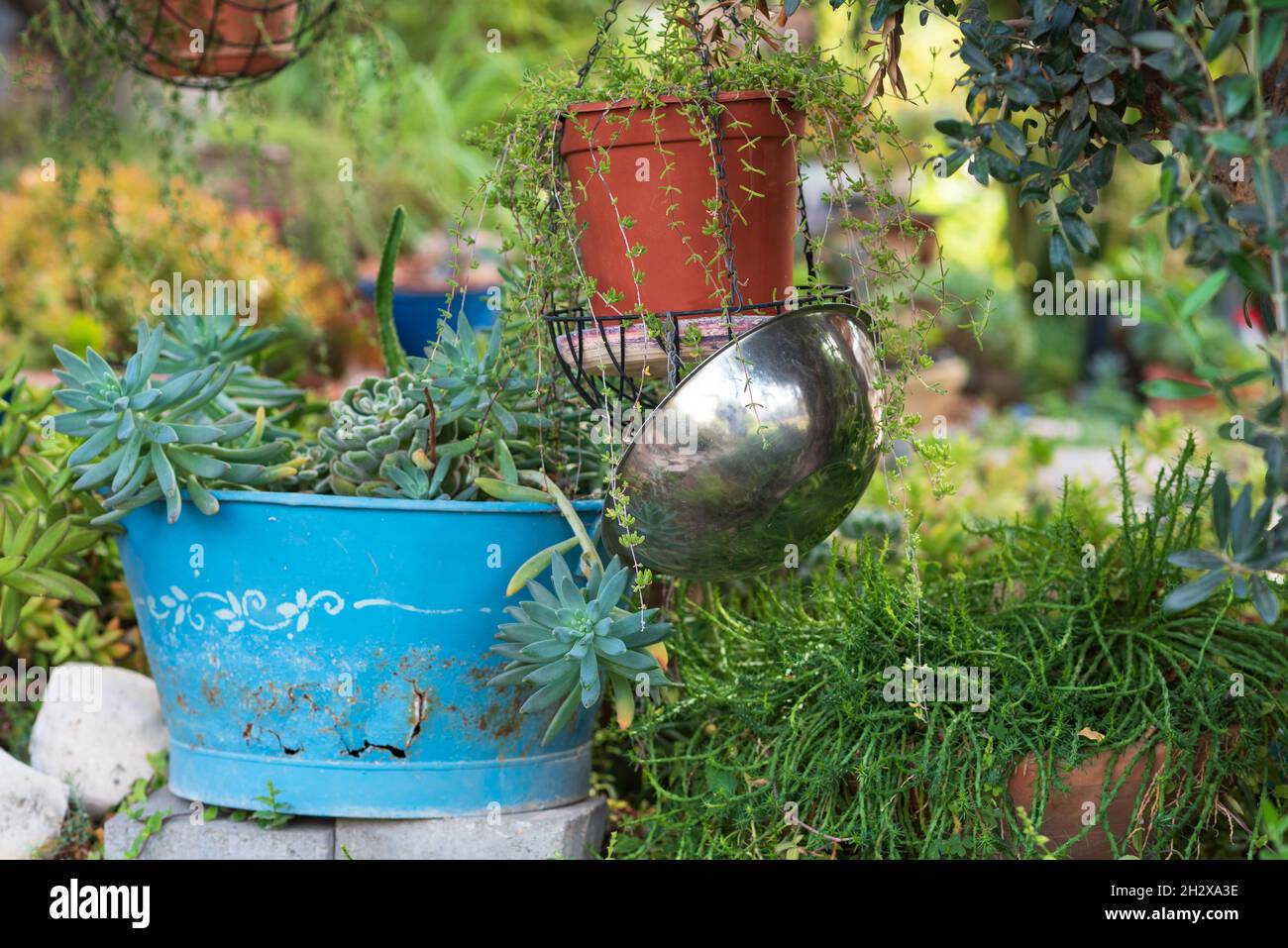 https://c8.alamy.com/comp/2H2XA3E/recycling-garden-ideas-how-to-responsibly-get-rid-of-old-cookware-pots-and-panscookware-turn-into-garden-flower-pots-recycled-garden-design-diy-and-low-waste-lifestyle-2H2XA3E.jpg