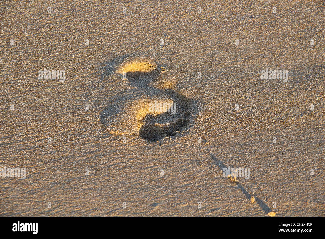 Footprints in the sand on the beach against background. Stock Photo