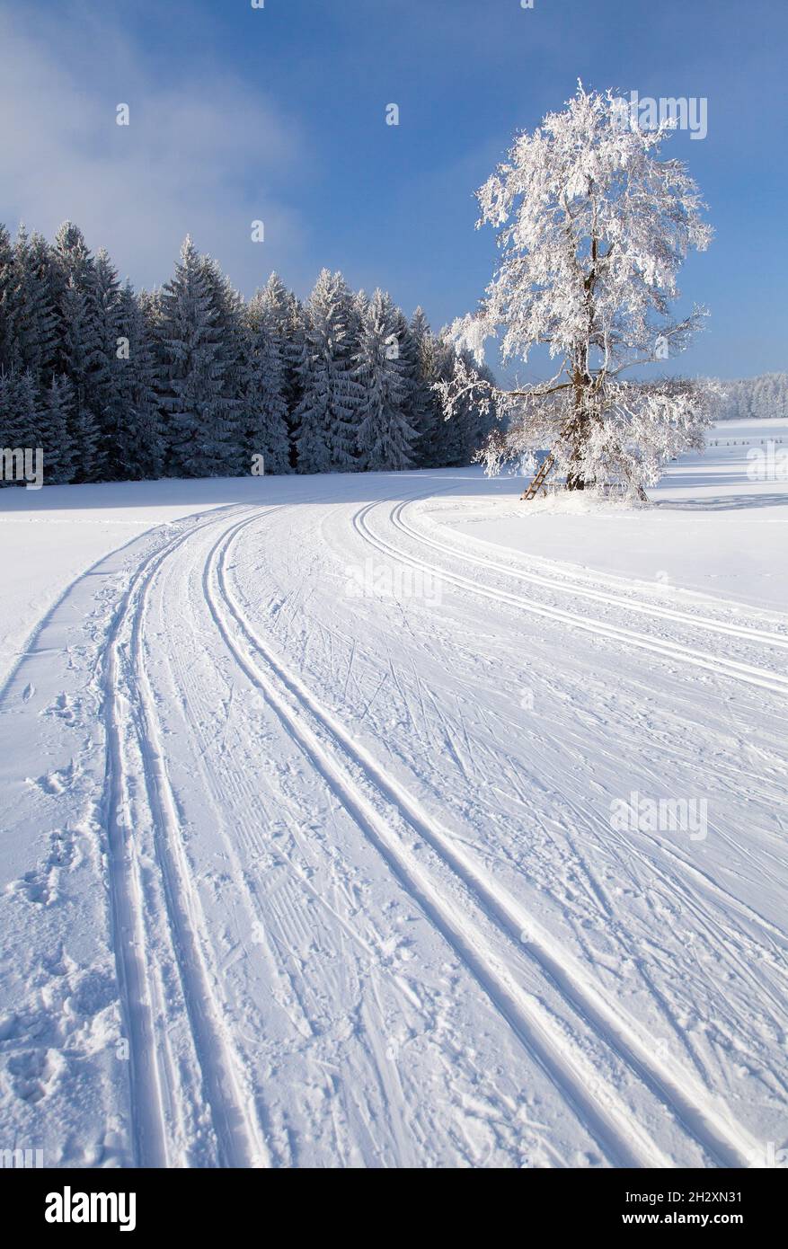 wintry landscape scenery with modified cross country skiing way Stock Photo