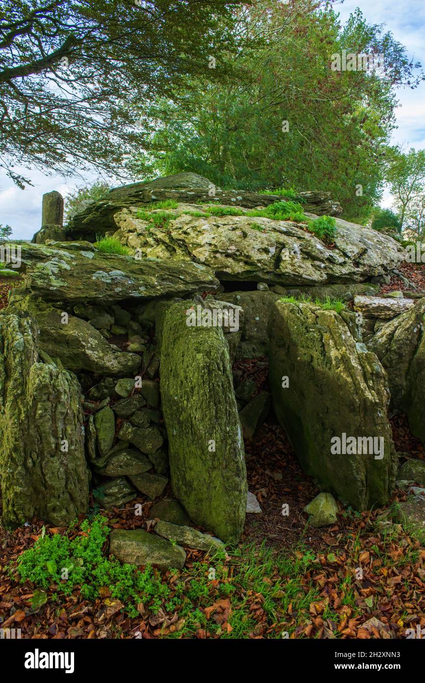 Tomb Example Fine example of a well preserved megalithic tomb in County Cork ...