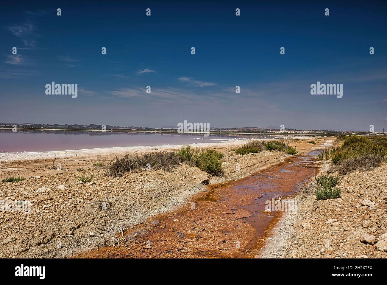 Beautiful landscape overlooking the salt lake, with pink water, in